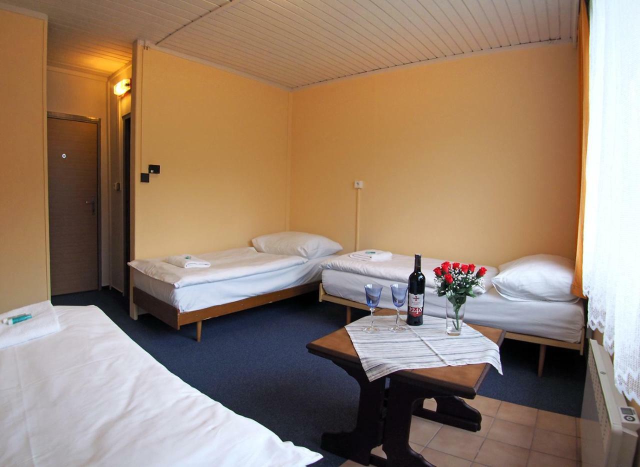 Hotel Pod Javorem Velké Karlovice Exterior foto
